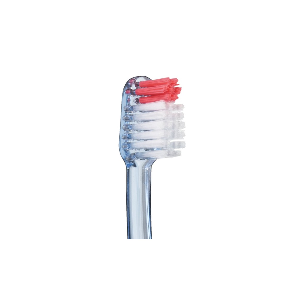 Vitis Cepillo Dental Encias