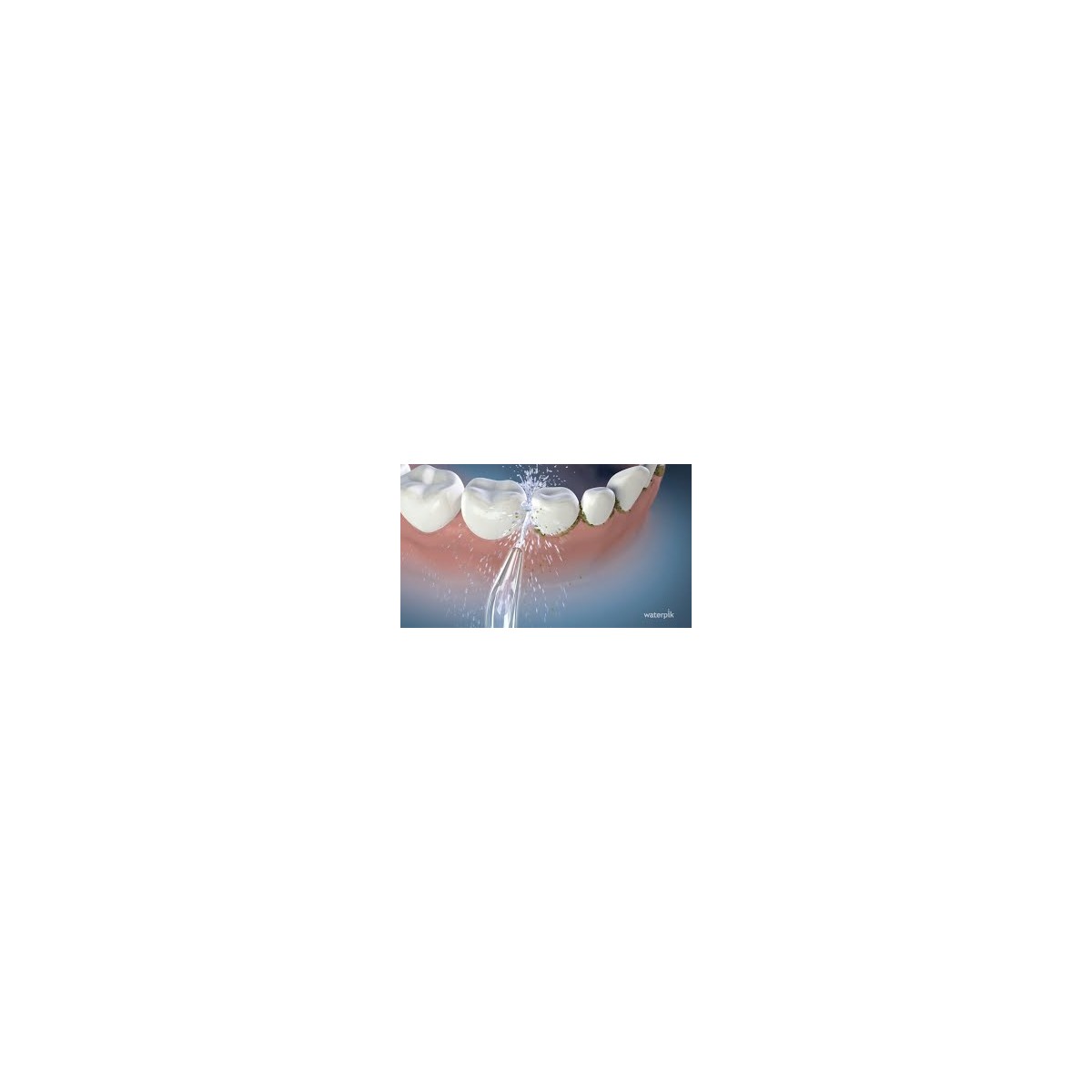 Waterpik Traveler Irrigador WP-300