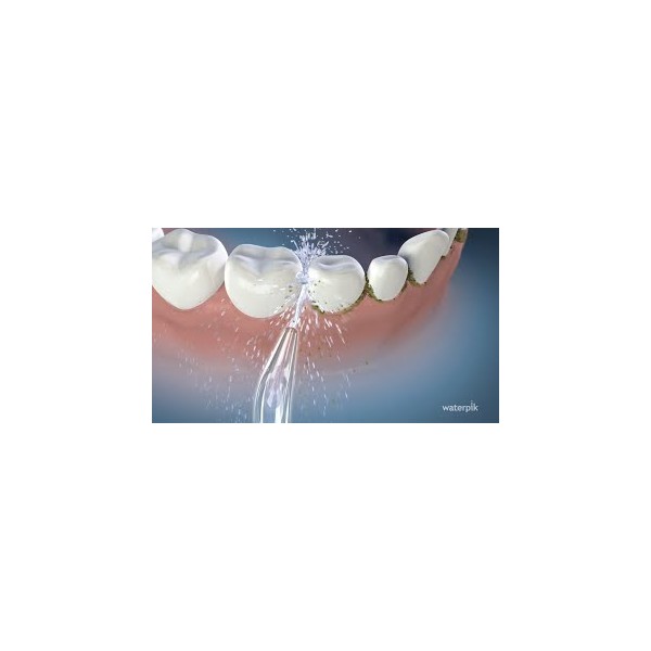 Waterpik Traveler Irrigador WP-300